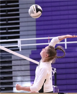 Volleyball
